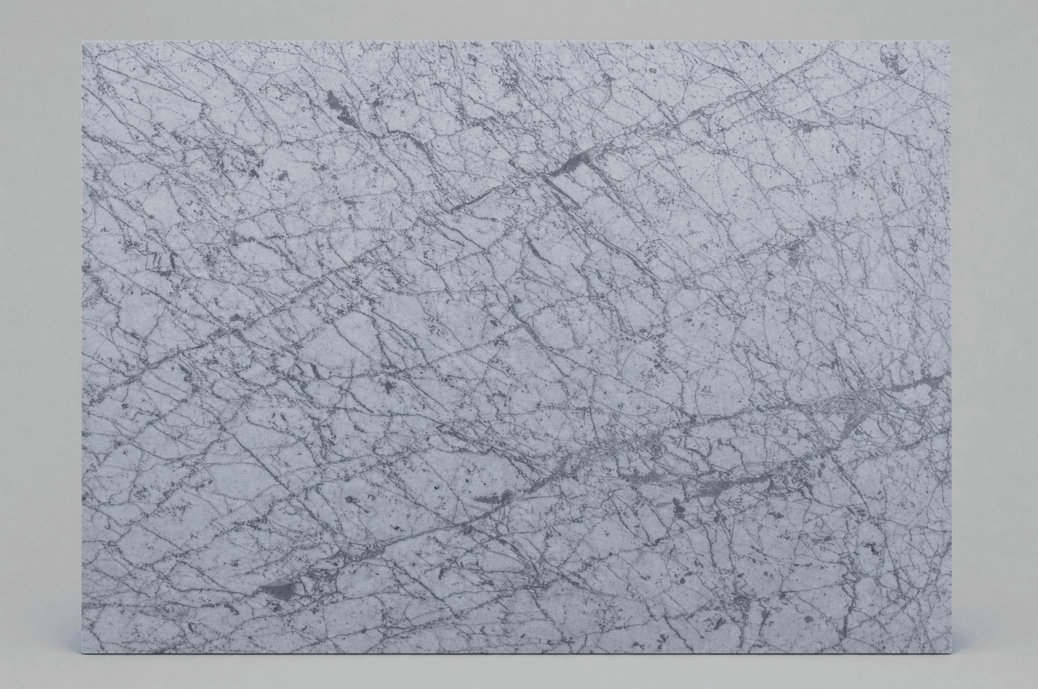 Carrara Gioia Venatino